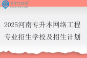 2025河南专升本网络工程专业招生学校及招生计划