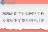 2025河南专升本网络工程专业招生学校及招生计划