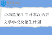 2025黑龙江专升本汉语言文学学校及招生计划