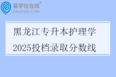 黑龙江专升本护理学2025投档录取分数线