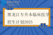 黑龙江专升本临床医学招生计划2025