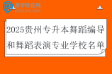 2025贵州专升本舞蹈编导和舞蹈表演专业学校名单