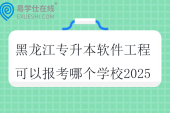 黑龙江专升本软件工程可以报考哪个学校2025