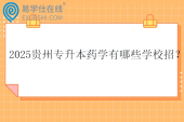 2025贵州专升本药学有哪些学校招？专业课考什么？
