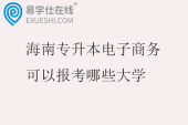 海南专升本电子商务可以报考哪些大学2025
