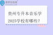 贵州专升本音乐学2025学校有哪些？