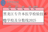 黑龙江专升本医学检验技术的学校及分数线2025