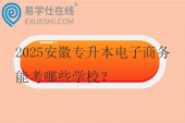 2025安徽专升本电子商务能考哪些学校？