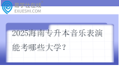 2025海南专升本音乐表演能考哪些大学？