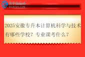 2025安徽专升本计算机科学与技术有哪些学校？专业课考什么？