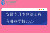 安徽专升本网络工程有哪些学校2025
