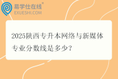 2025陕西专升本网络与新媒体专业分数线是多少？
