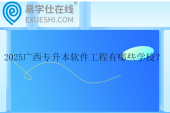 2025广西专升本软件工程有哪些学校？