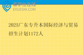 2025广东专升本国际经济与贸易招生计划1172人