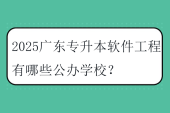 2025广东专升本软件工程有哪些公办学校？