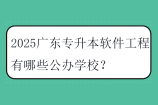 2025广东专升本软件工程有哪些公办学校？