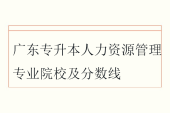 2025广东专升本人力资源管理专业院校及分数线