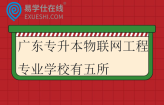 2025广东专升本物联网工程专业学校有五所