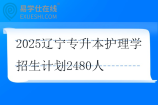 2025辽宁专升本护理学招生计划2480人