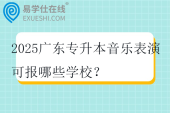 2025广东专升本音乐表演可报哪些学校？