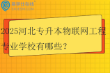 2025河北专升本物联网工程专业学校有哪些？