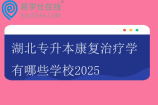 湖北专升本康复治疗学有哪些学校2025