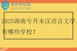 2025湖南专升本汉语言文学有哪些学校？
