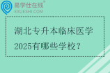 湖北专升本临床医学2025有哪些学校？
