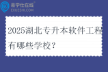 2025湖北专升本软件工程有哪些学校？