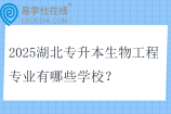 2025湖北专升本生物工程专业有哪些学校？