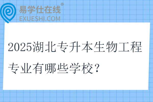 湖北专升本商务英语可以考哪些学校