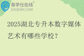 2025湖北专升本数字媒体艺术有哪些学校？