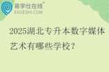 2025湖北专升本数字媒体艺术有哪些学校？