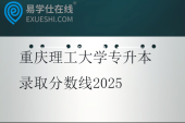 重庆理工大学专升本录取分数线2025