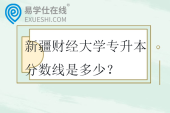 新疆财经大学专升本分数线是多少？
