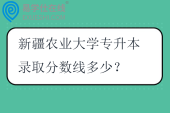 新疆农业大学专升本录取分数线多少？