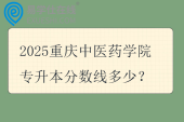 2025重庆中医药学院专升本分数线多少？