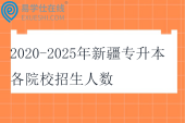 2020-2025年新疆专升本各院校招生人数