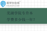 芜湖学院专升本学费多少钱一年？