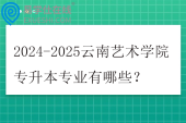 2024-2025云南艺术学院专升本专业有哪些？