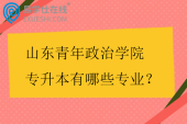 山东青年政治学院专升本有哪些专业？
