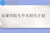 安康学院专升本招生计划近三年