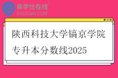陕西科技大学镐京学院专升本分数线2025