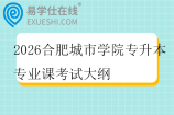 2026合肥城市学院专升本专业课考试大纲
