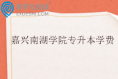 嘉兴南湖学院专升本学费多少？