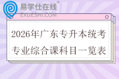 2026年广东专升本统考专业综合课科目一览表