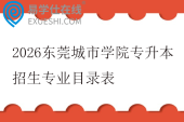 2026东莞城市学院专升本招生专业目录表