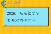 2026广东东软学院专升本招生专业