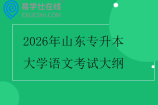2026年山东专升本大学语文考试大纲