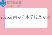 2026年云南专升本学校及专业一览表